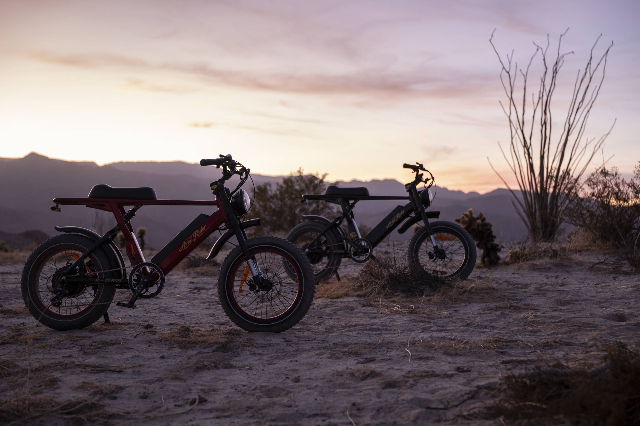 Best Moped Style Ebike 2024: A Complete Guide to Picking, Understanding, and Riding the Future of Urban Mobility