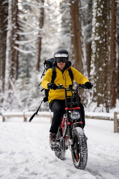 Explore the Great Outdoors with the Ariel Rider Grizzly Electric Bike
