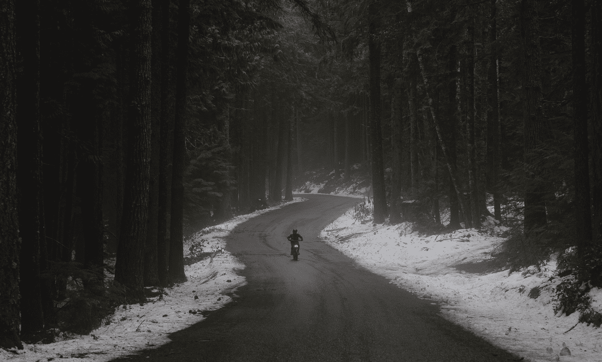 The Ultimate Guide to Electric Bikes for All-Weather Riding 🌧️☀️ - Ariel Rider Ebikes