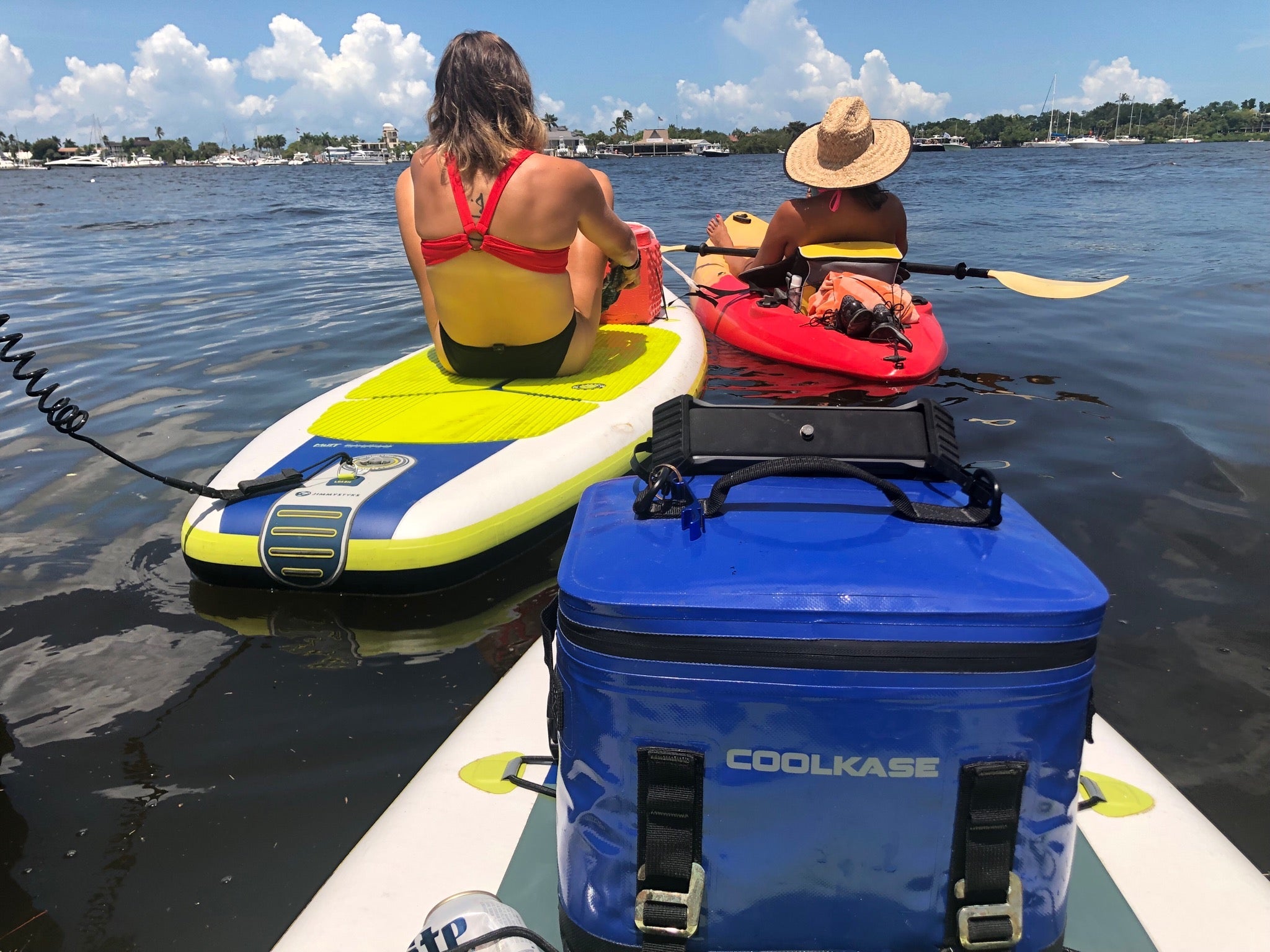 CoolKASE - Rack Mount Cooler – Ariel Rider Ebikes