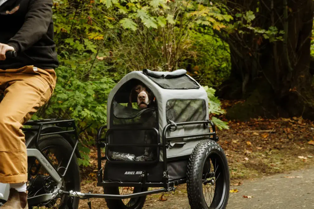 Trailer configured for heavy cargo hauling