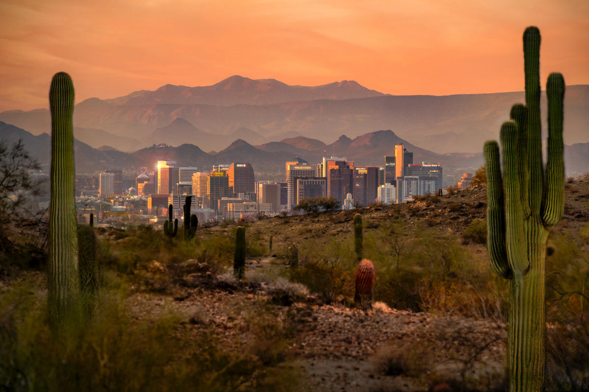 Phoenix e-bike guide