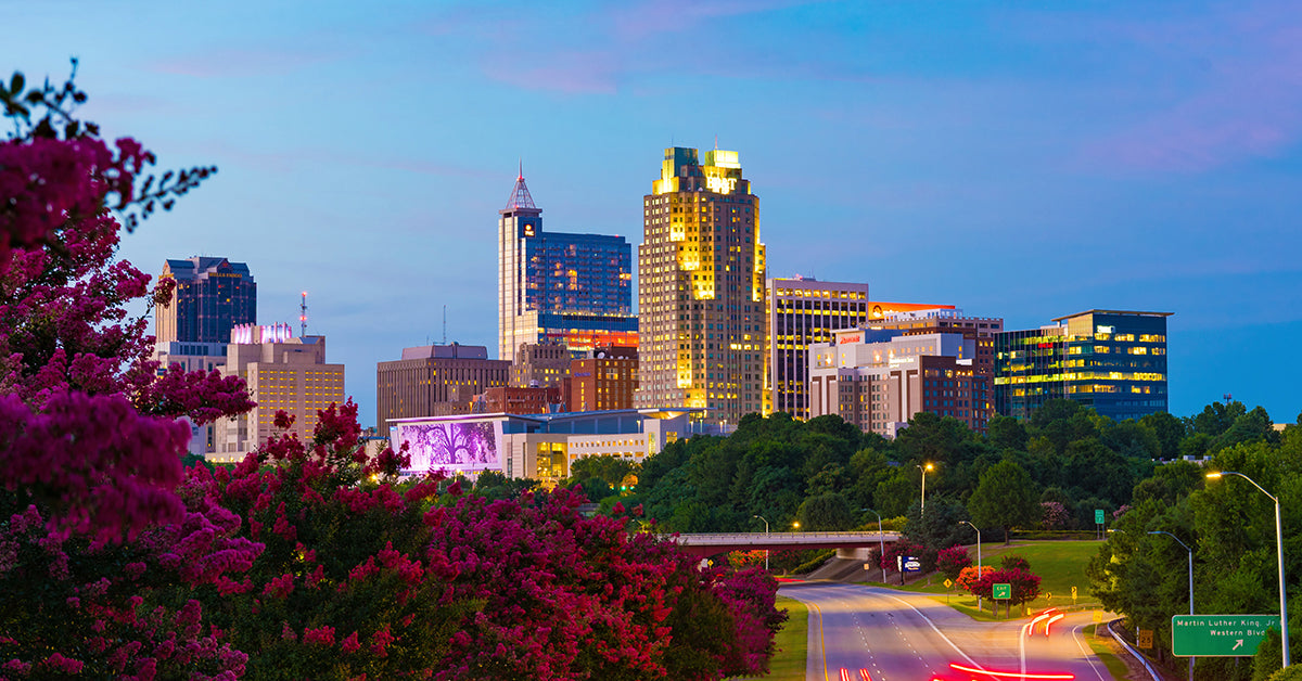 Raleigh e-bike guide