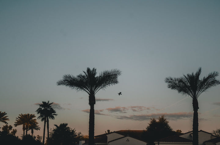 Chandler, Arizona e-bike guide