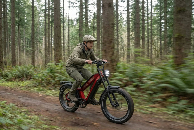 kepler dual fast long range bike