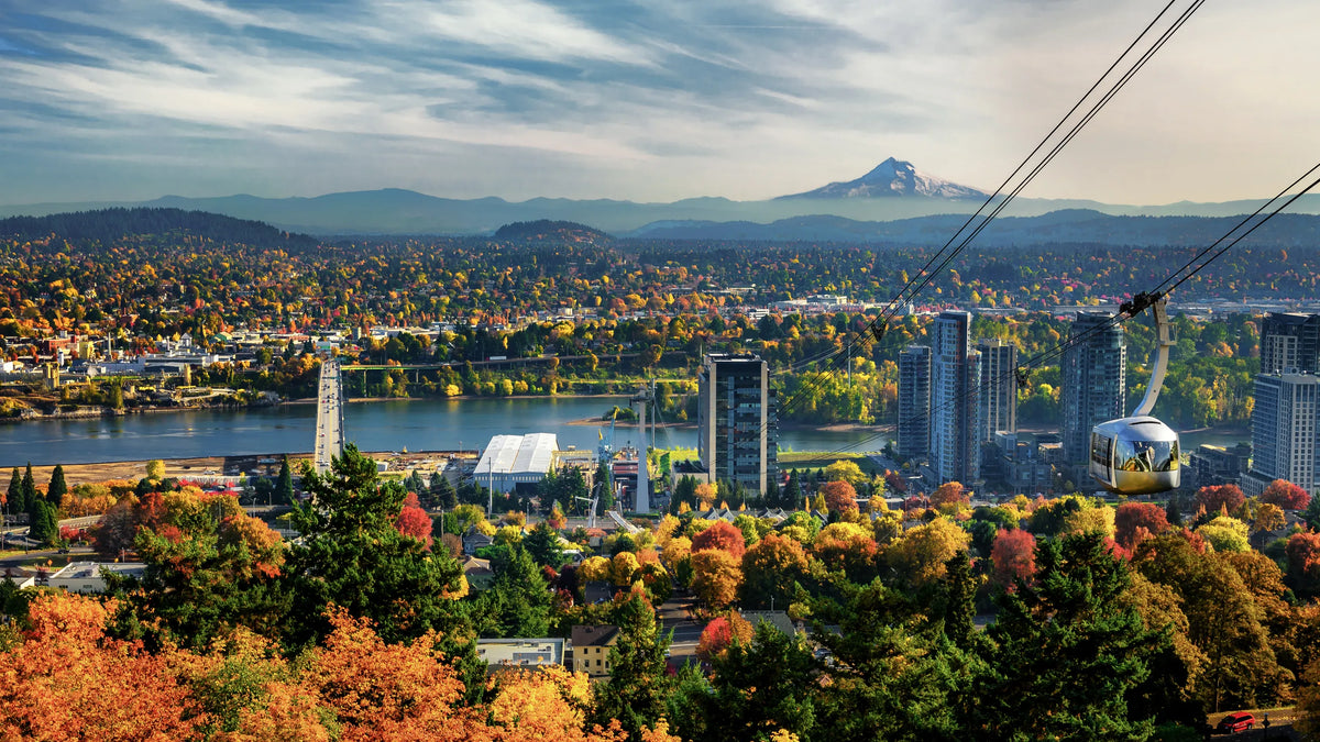 Portland e-bike guide
